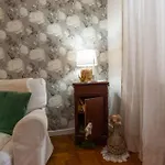Mezzaterra 10 Tourits *