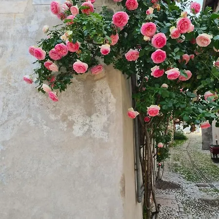Via Mezzaterra 10 *